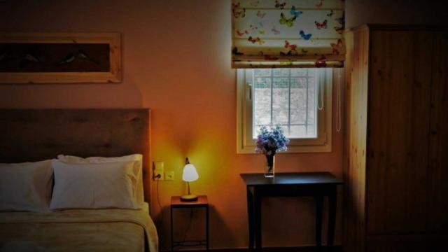 Αραϊδου΄-Araidoy Aparthotel อิโออันนินา ภายนอก รูปภาพ